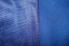 100%Polyester Tricot brushed velvet knitted fabric