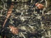 100% cotton waterproof hunting camo print fabric