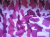 100% polyester two sides printing coral fleece smshr01