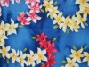 2012 NEW DESIGN 100% COTTON POPLIN PRINTED