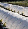 36M agricultural nonwoven