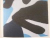 600D camouflage polyester fabric pvc coated fabric