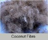 COCO FIBER