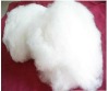 Dehaired white cashmere