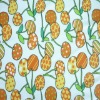 Excellent Printed Fresh Fruit spandex fabric digital printing