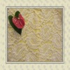 LACE FOR WOMEN GARMENT, IN A VARIETY OF DESIGNS,BEST PRICE