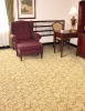 PS-602 Wall to Wall 100%PP Carpet