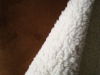 Suede Fabric Bonded with Shu Velveteen Fabric