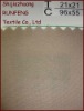 T/C Polyester Cotton Factory/School/Nurse/Police/Chef/Workwear/Uniform Fabric 21X21 96X55