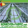 agriculture nonwoven mulching fabrics