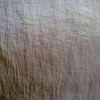 crinkle nylon taslon/leisure coat fabric/teflon coating