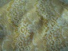 nylon eyelash lace fabric