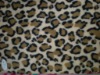 polar fleece fabric