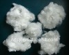 polyester staple fiber(20)