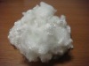 polyester staple fiber