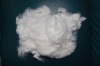 polyester staple fibre