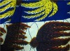 printed 100% cotton textile