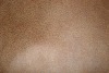 sofa fabric 2540#/ bronzed suede bonded knitted fabric/suede fabric