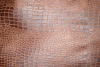 sofa fabric 2544#/ bronzed suede bonded knitted fabric/suede fabric